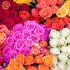 lovely_19907