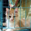 nur.alamsyah383
