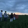sekmctn6