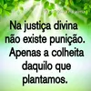 yasmin_soares_ripardo