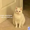 kaaatushkin