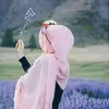 baro3819