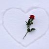 user53725252433862