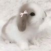 aurorasofialugofe