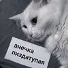 avina_orig