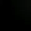 qcg_3