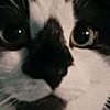 bubba_874