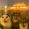 user_092090