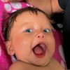 kei.15_2009