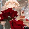 ms_m906