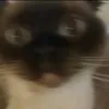 dusjxhw