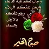 user8079530004900