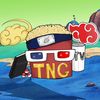 TNGVIN
