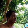 bismarsiregar8