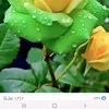 ihsanamedi59gamel.com