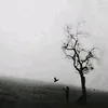 bi_lly55