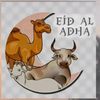udin_njir