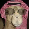 ahmadziyadasaali