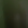 ommo.niehad