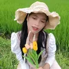 thitai_209