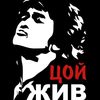 viktor_tsoy4546