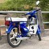 sepu244
