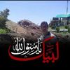 user278994492