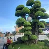 ngminhquangngomin