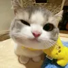 jh_xhe
