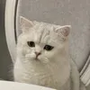 dieulinh.sue