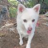 anik.gurung6