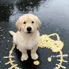 qawrmj