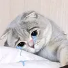 ngha.nguyn5162