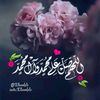 ali299860