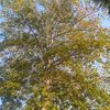798258su.myat