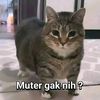 kukakang_etakukakang1