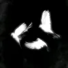 not_zxfia
