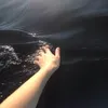 isw7r
