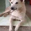 bo.thi.nguyn69