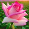 aldeira_33