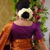 nlipakhi