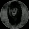 0rasha4