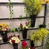 heba.mohammed6983