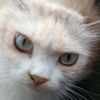 rian_2356