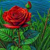 md.lazu.rohiem