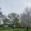 dlkhwaz.rashid7