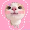 hoaquynh.11