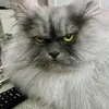 mothebruh