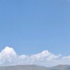 arpiharutyunyan66