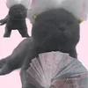 cherry_nek204